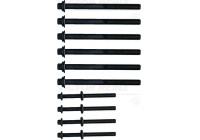 Cylinder head bolt set
