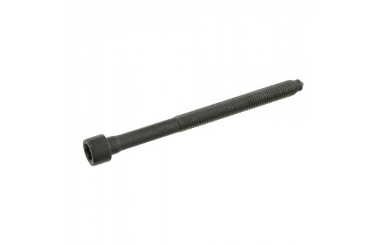 Cylinder Head Bolt