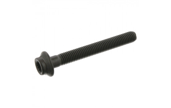 Cylinder Head Bolt