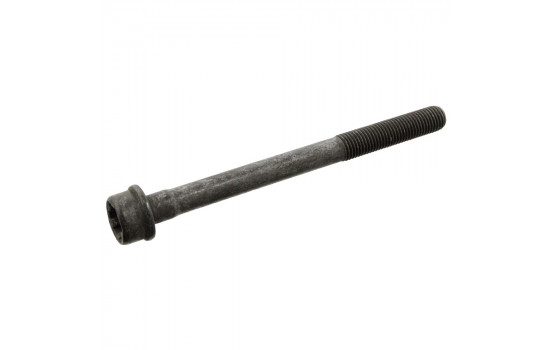 Cylinder Head Bolt