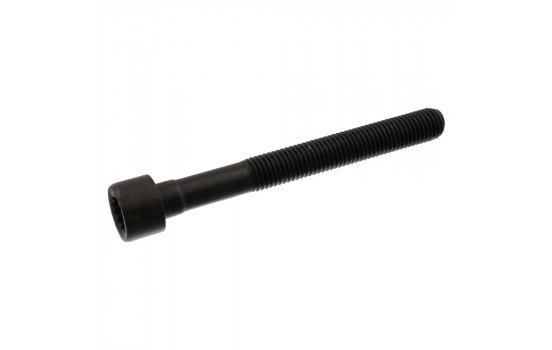 Cylinder Head Bolt
