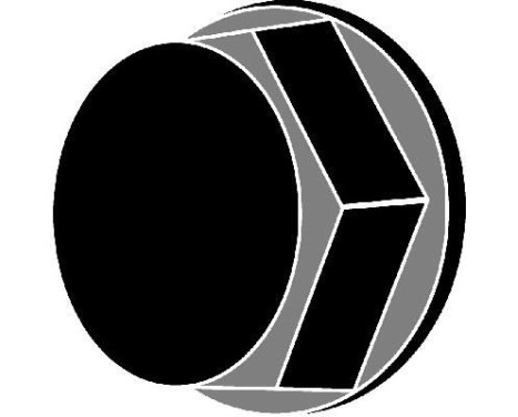 KIT VIS DE CULASSE FIAT 1.1 8V POINT