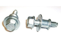 Screw, cylinder head closure