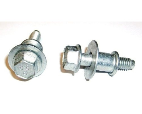 Screw, cylinder head closure