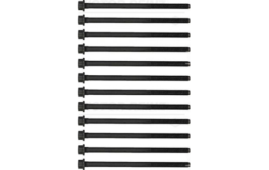 Bolt Kit, cylinder head