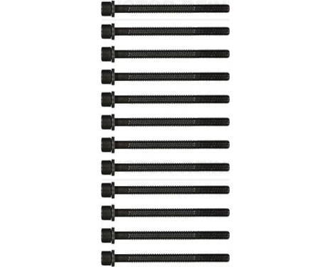 Bolt Kit, cylinder head