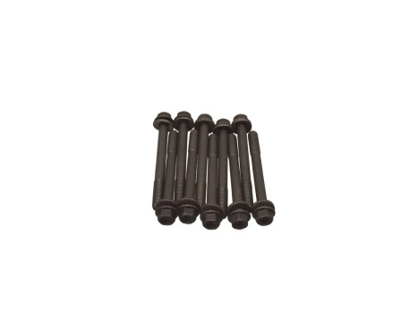 Bolt Kit, cylinder head