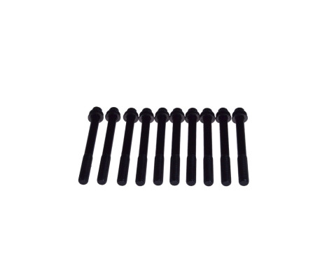 Bolt Kit, cylinder head