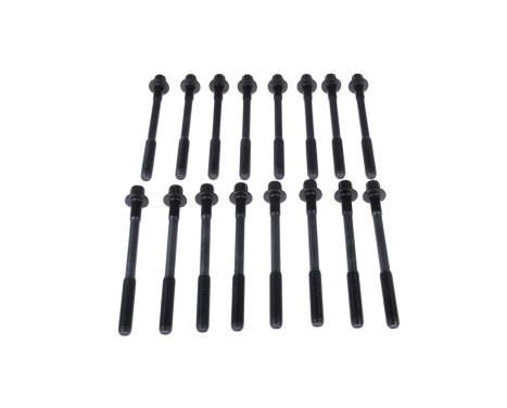 Bolt Kit, cylinder head
