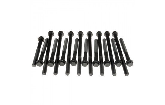 Bolt Kit, cylinder head