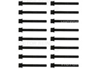 Bolt Kit, cylinder head