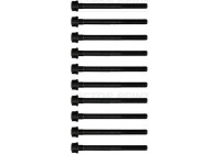 Bolt Kit, cylinder head