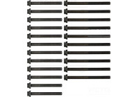 Bolt Kit, cylinder head