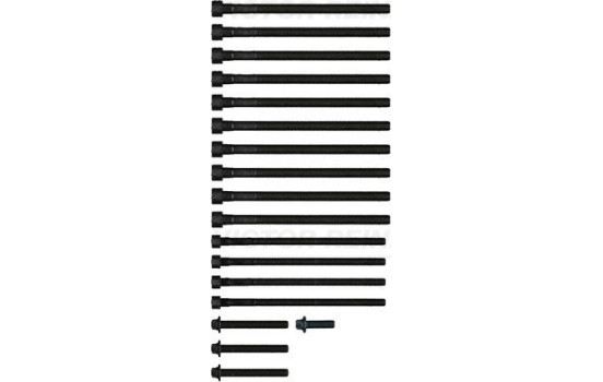 Bolt Kit, cylinder head