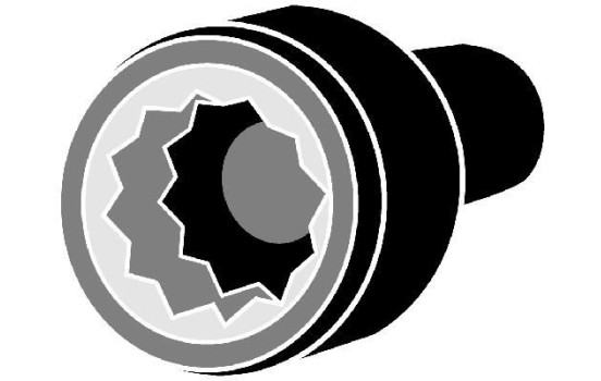 Bolt Kit, cylinder head