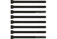 Cylinder head bolt set (2 / motor)