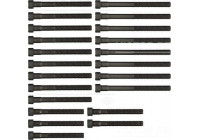 Cylinder head bolt set (22 ST.)