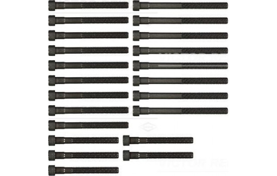 Cylinder head bolt set (22 ST.)