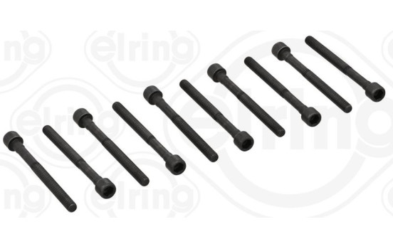 Cylinder head bolt set