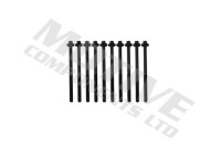 Cylinder head bolt set
