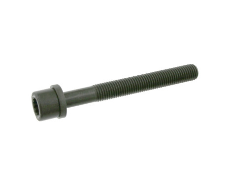 Cylinder Head Bolt