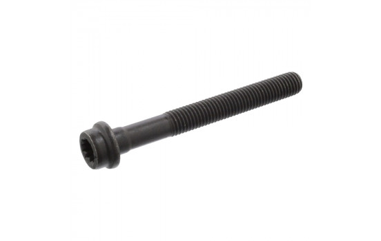 Cylinder Head Bolt