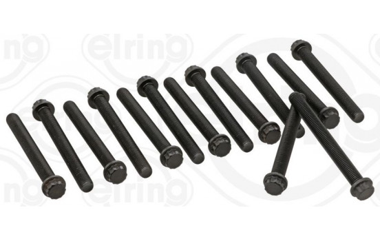 Cylinder head bolt