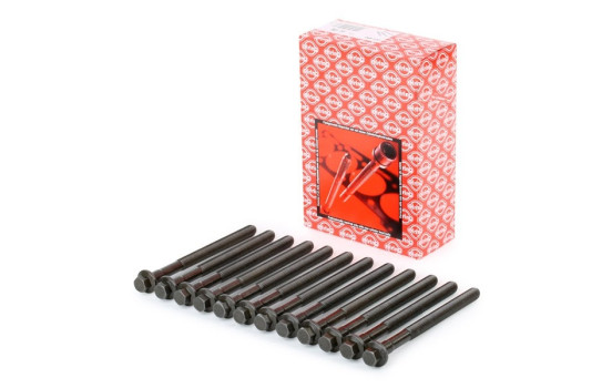 Cylinder head bolt