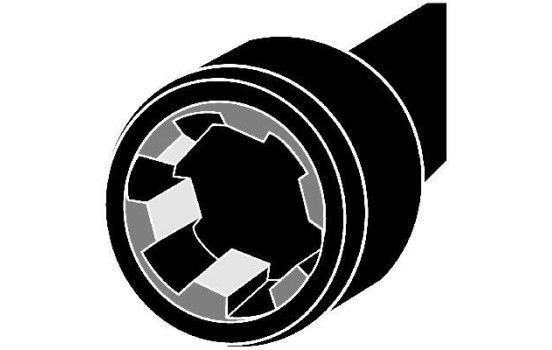 KIT VIS DE CULASSE VAG 1.6 8V AKL X