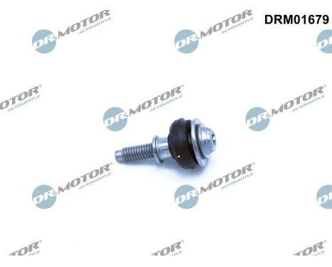 Screw, cylinder head closure