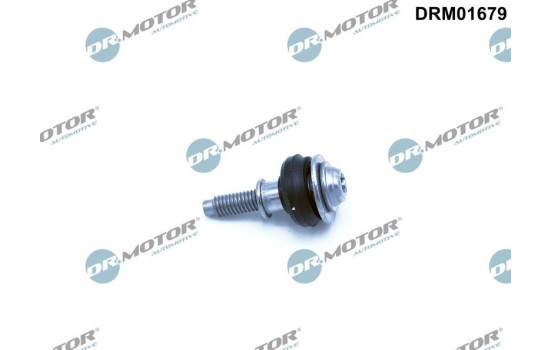 Screw, cylinder head closure