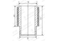 Cylinder lining