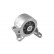 Axle Body/Engine Mount Bearing, Thumbnail 2