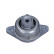 Axle Body/Engine Mount Bearing