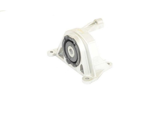 Axle Body/Engine Mount Bearing