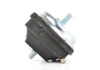 Axle Body/Engine Mount Bearing