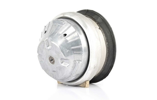 Axle Body/Engine Mount Bearing