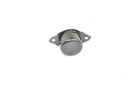 Axle Body/Engine Mount Bearing