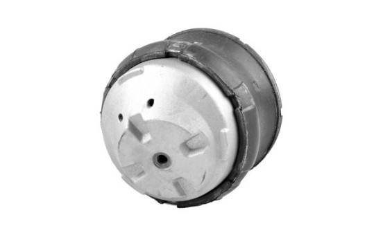 Axle Body/Engine Mount Bearing