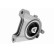 Axle Body/Engine Mount Bearing
