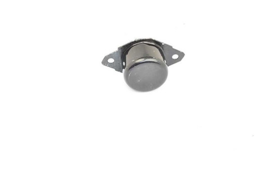 Axle Body/Engine Mount Bearing, Image 2
