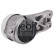 Axle body/engine support bearing 195116 FEBI, Thumbnail 2