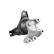 Axle body/engine support bearing