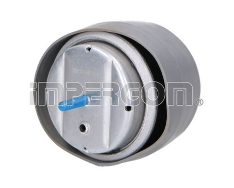 Axle body/engine support bearing