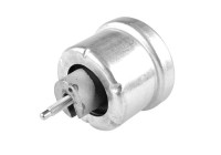 Axle body/engine support bearing