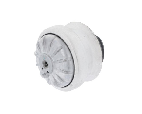 Axle body/engine support bearing