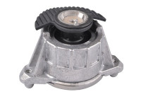 Axle body/engine support bearing