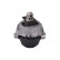Axle body/engine support bearing
