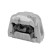 Axle body/engine support bearing