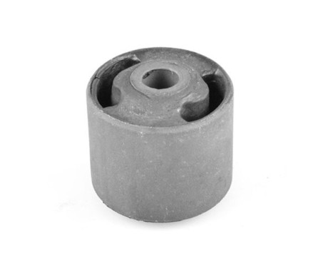 Axle body/engine support bearing